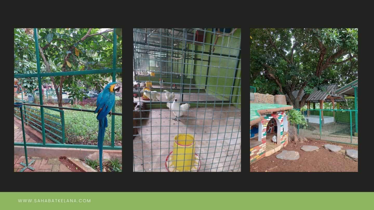 Satwa di Mini Zoo Bekasi